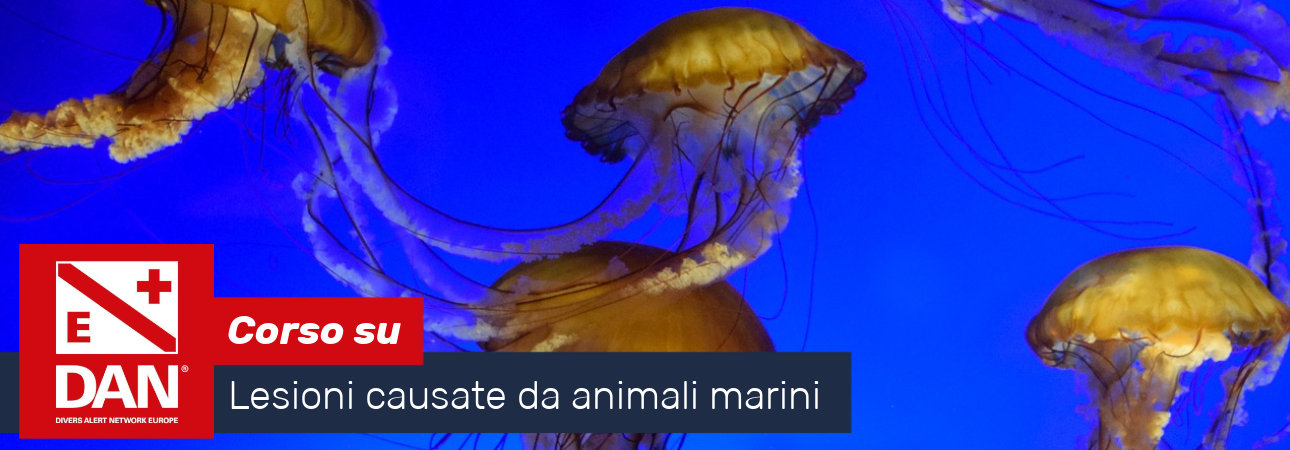 corso DAN sulle lesioni causate da animali marini